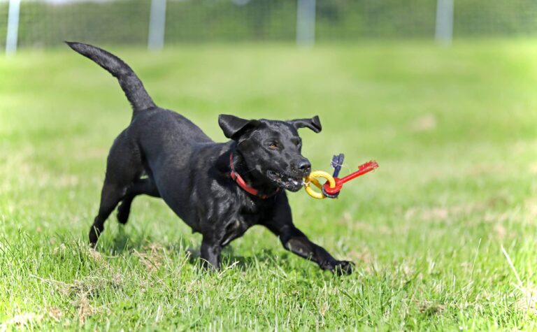 1955 10d16bb4d252c1a7005db01dade57113 1 768x475