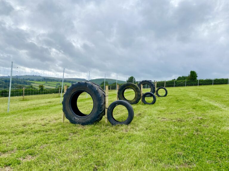 1955 1b02cbf7e5bdc6e6da476dd829a7d0de 1 768x576