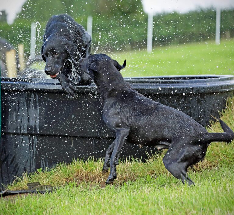 1955 23367facad334ed06d352315aa9c1e97 1 768x705