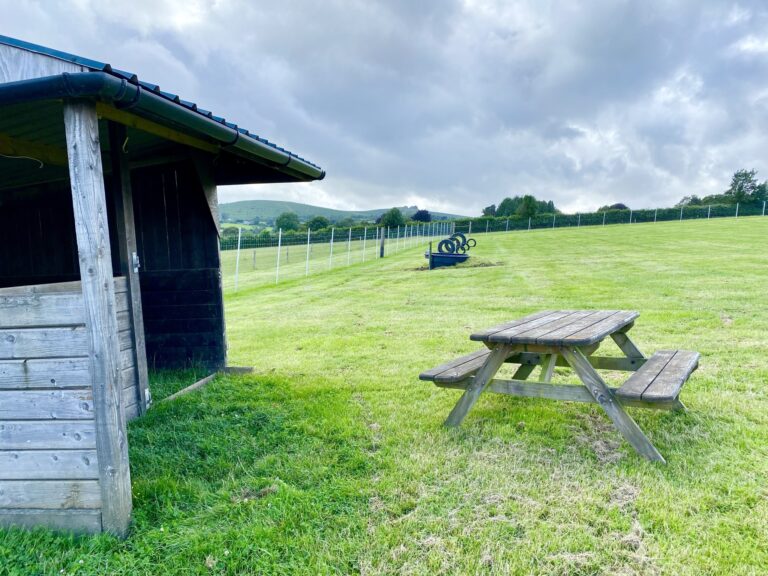 1955 3654aacc438dd9ae1b43bb90a1cc61e7 1 768x576