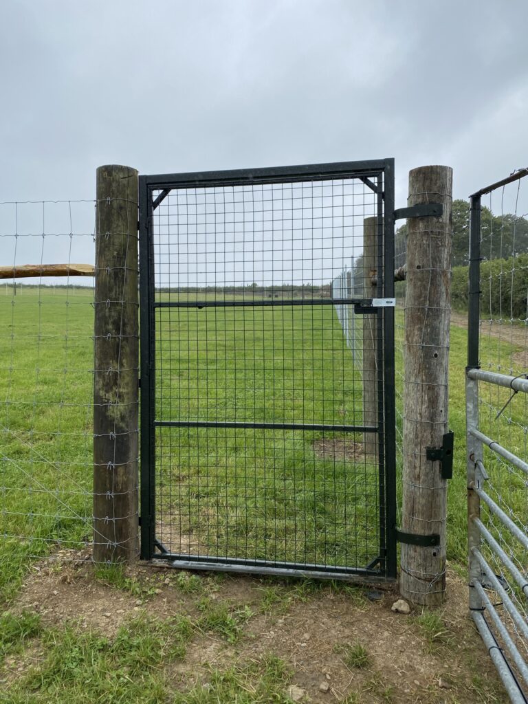 1955 3d22859a185ed1d15d1cabc9df2450bc 1 768x1024