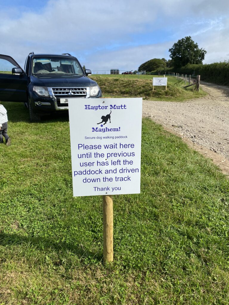 1955 46bbc35aef1578b49b5445a536072bd0 1 768x1024