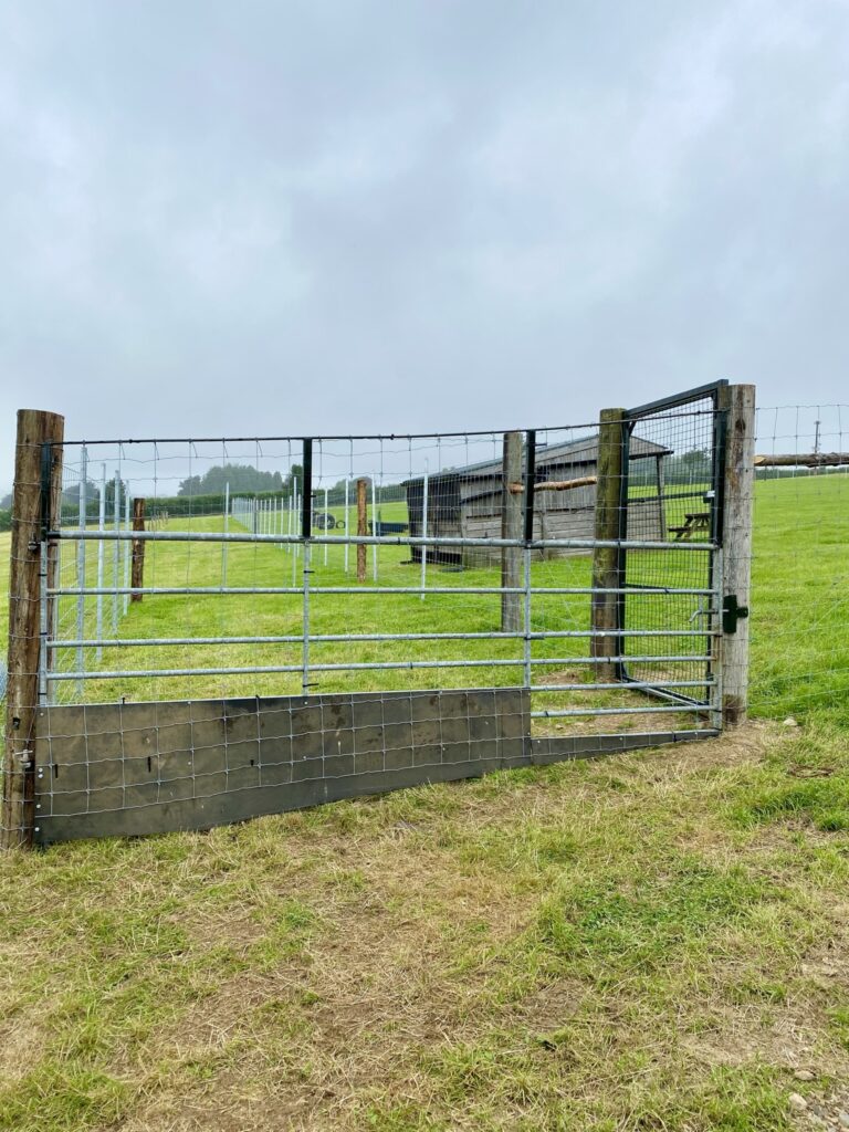 1955 4ec6304249b206d7a883db0780540227 1 768x1024