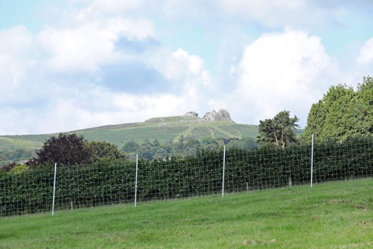 1955 7a5ab69bac2158deaebdbc6d40c40654 1 768x512