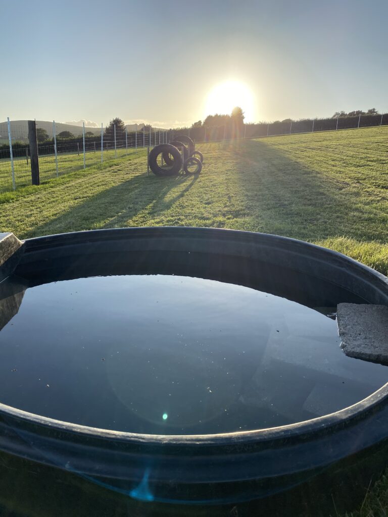 1955 862c6cd2d1b0c6948ad7b57dea017862 1 768x1024