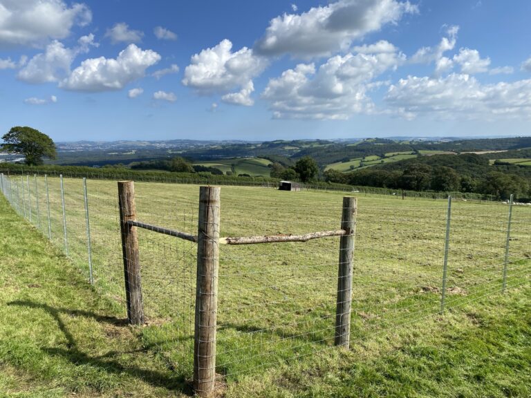 1955 ca4305acb30ed2f610f6c91307f414d7 1 768x576