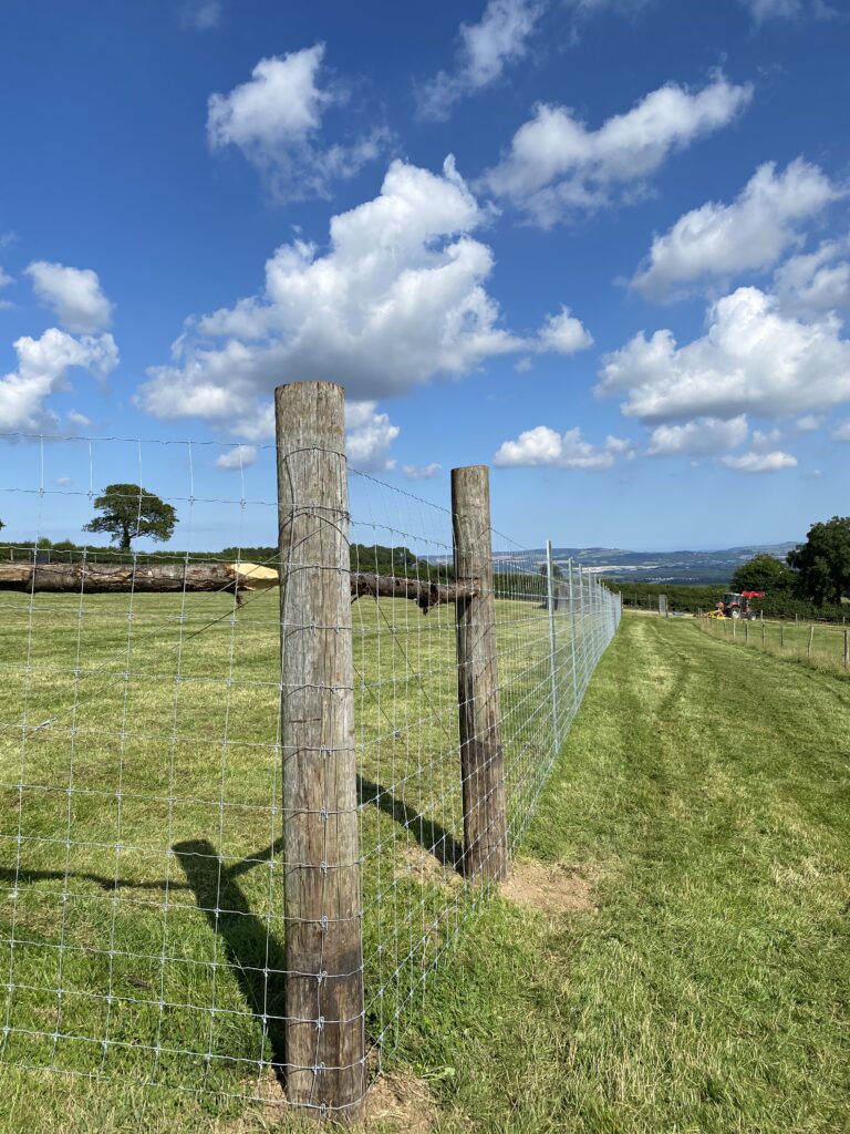 1955 e9fbd8f0a13aed9e4843c29dc99aba4e 1 768x1024