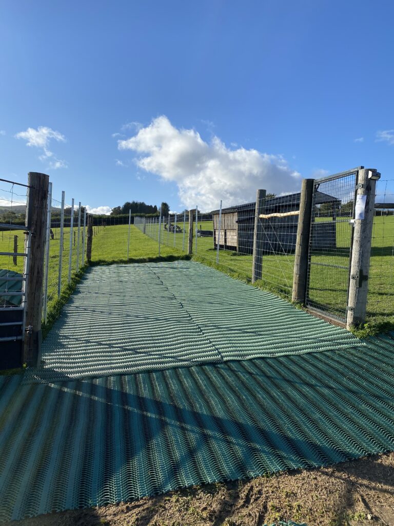 1955 f766e31424222643c24bb5de9362467e 1 768x1024