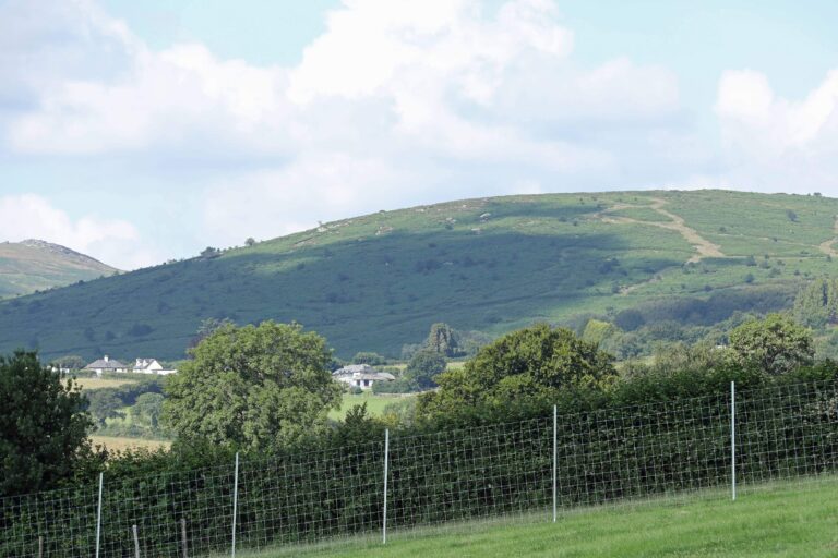 1955 fc7d1190894b418c681a4eed719cc832 1 768x512