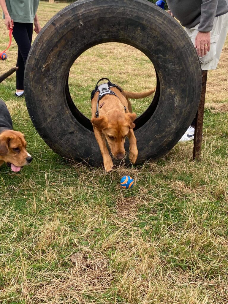 1956 3652cdcd4303ff20fa13359d95c47860 1 768x1024