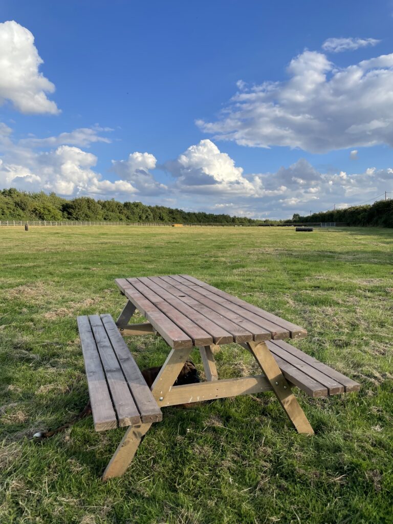 1956 6f2446f778b690fca8858f98b1a4fe0d 1 768x1024