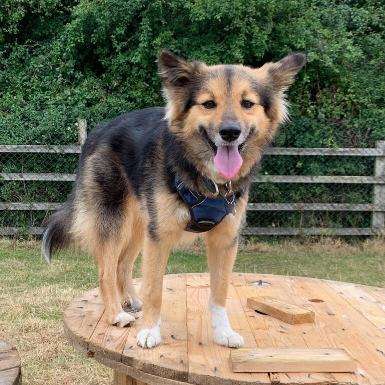 1956 8249097b796c9c2746a028e3c016f857 1 768x768