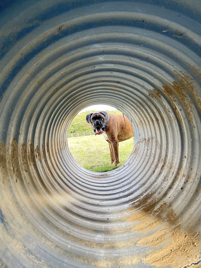 1956 9e743b5a82b77c8f03060591b764bab9 1 768x1024