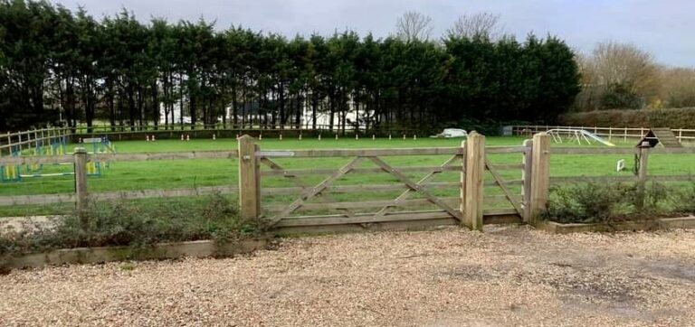 1961 0a7d1e71152169073baf12eef3134612 1 768x362