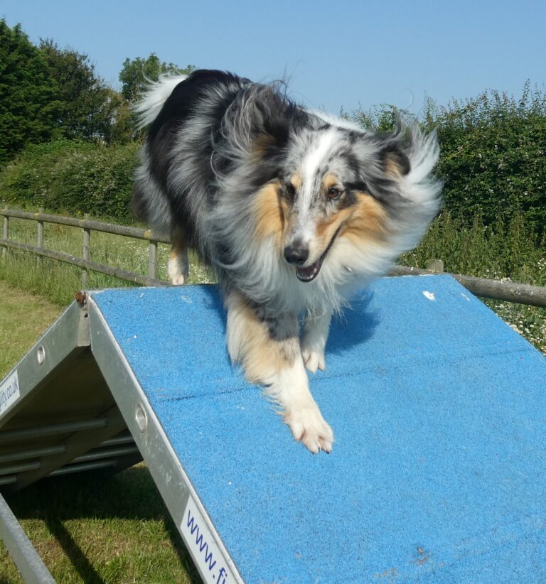 1961 4ff13e13e3f00a7e1d14cbb6f4246712 1 768x822