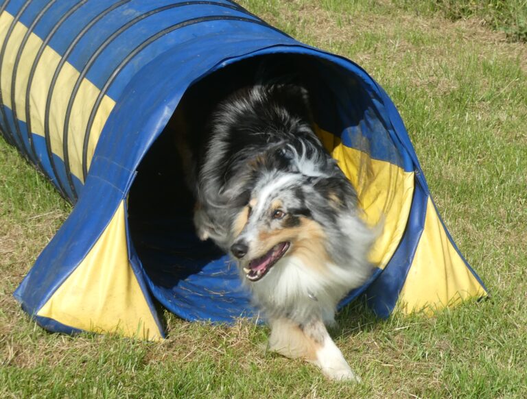 1961 6e2344e0dddcc5d3a8f6aa6b09ad33cd 1 768x582