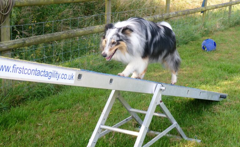 1961 8757b5738c1050d86fca663b90aef589 1 768x473