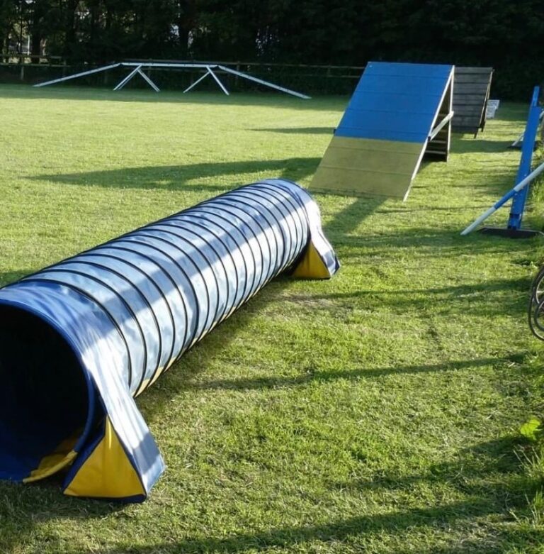 1961 e0e09c4e07907507b1b041d1c5480faa 1 768x781