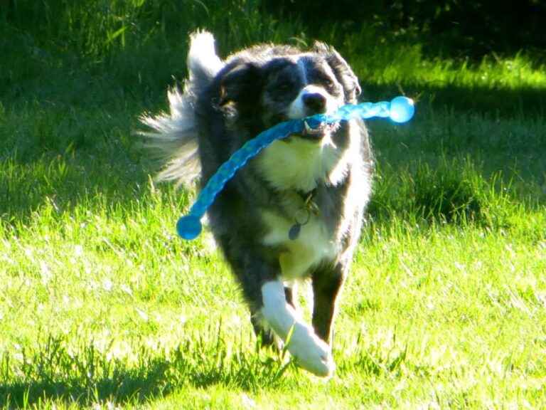 1961 e90c4309f17a8ef1c7bd6fa8b71df6af 1 768x576