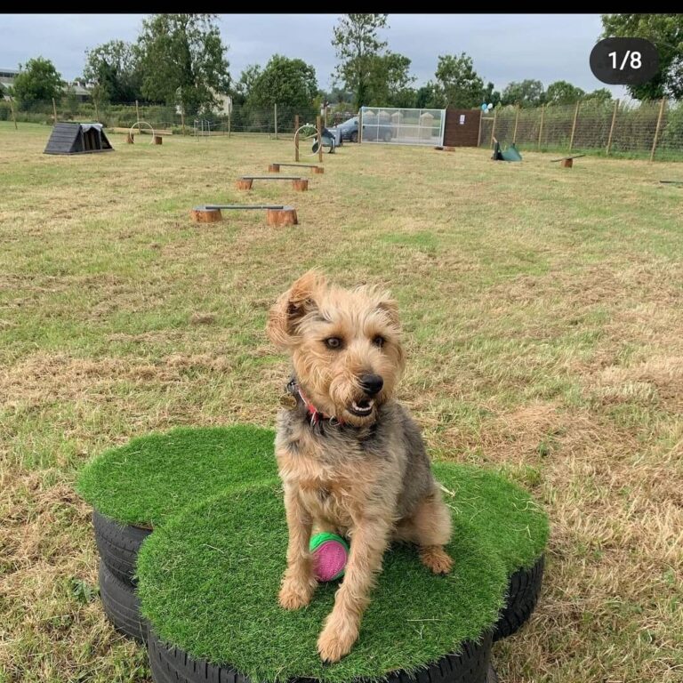 1964 0add1c5b0c785433c876b967e813e92e 1 768x768