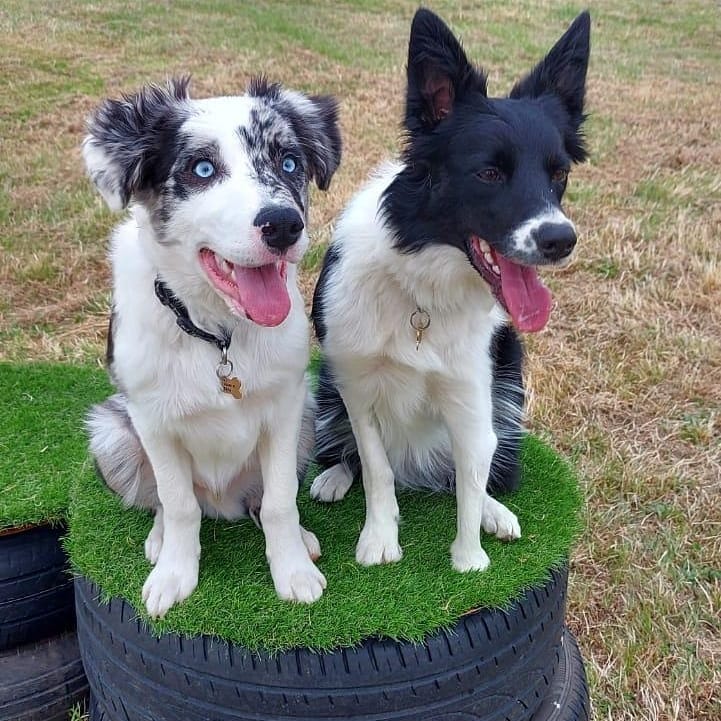 1964 1d1a0008d94f37904029b1ed2b4abbb1 1