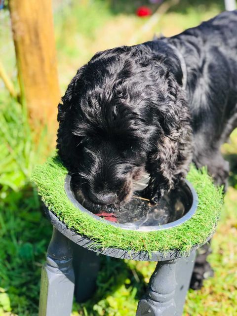 1964 8fd9717c0a0a1c05e6c065c48cd63ca2 1