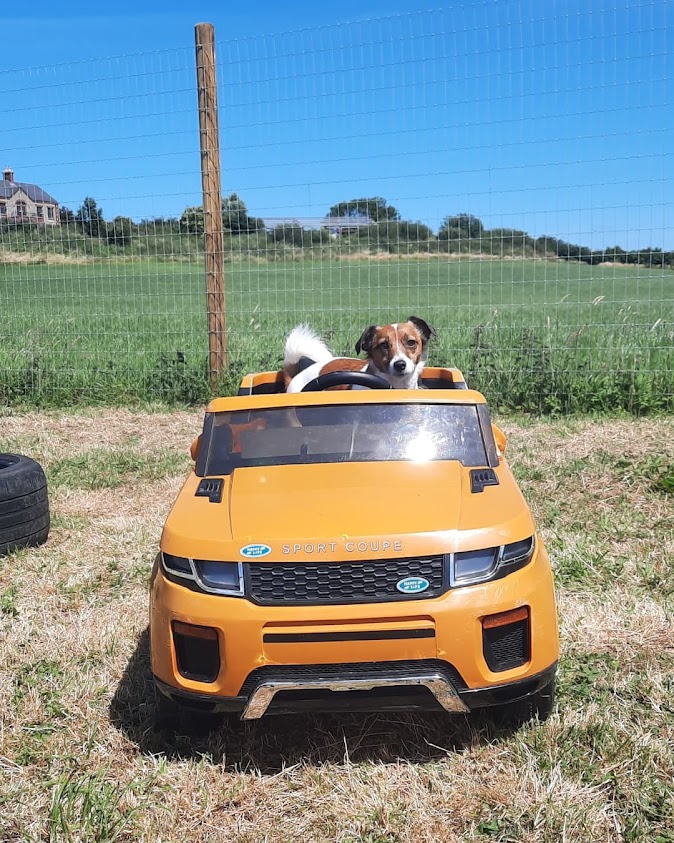 1964 a9f9bb9dcdeb93263c4ce60a1c3e796d 1