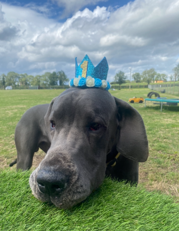 1964 d876c7f7c60ee2563aa77edd3d33bcd5 1