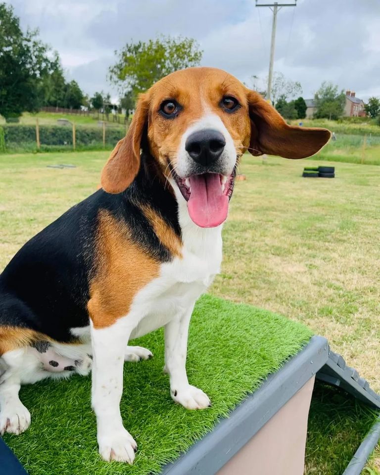 1964 d8782597d6c68e21572c3aace18e2654 1