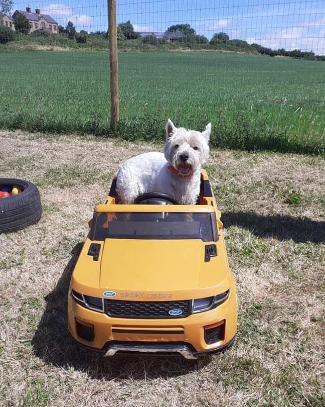 1964 e22d34a074b891acaa0a13dc342966da 1