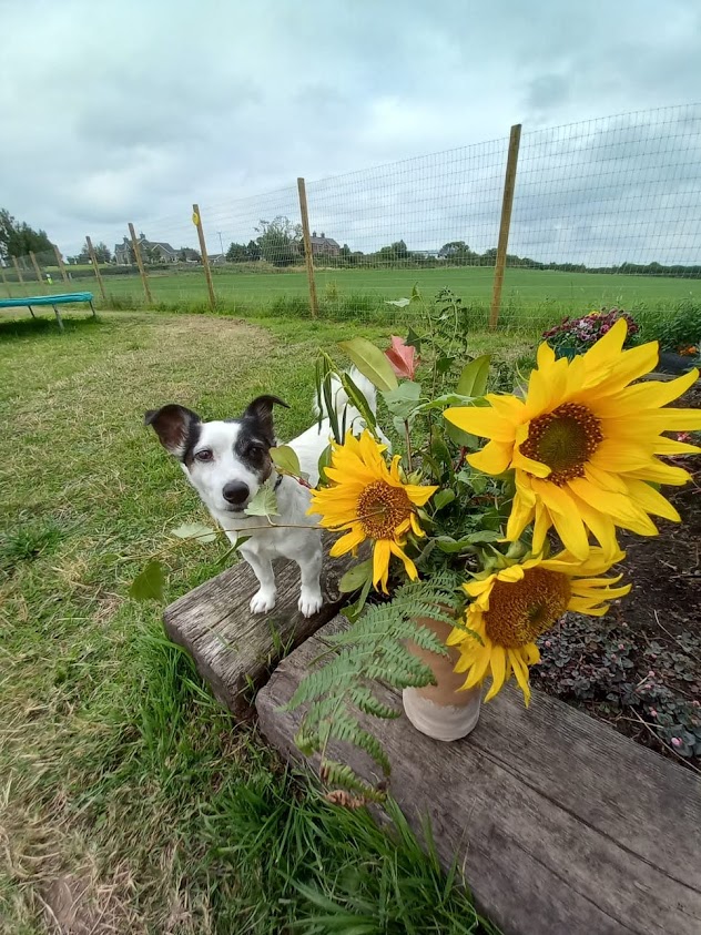 1964 fcd2c2eddd70c8932dc701f32ba9db11 1