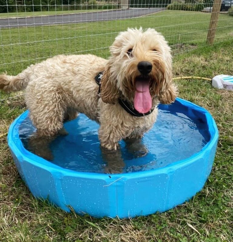 1964 fef970dccb462aebd87b5bccbf7603bc 1 768x799