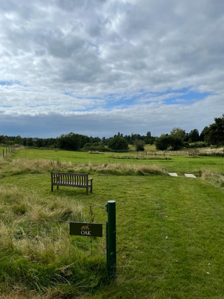 1967 72435da388394c889687b30fd2aa3a8c 1