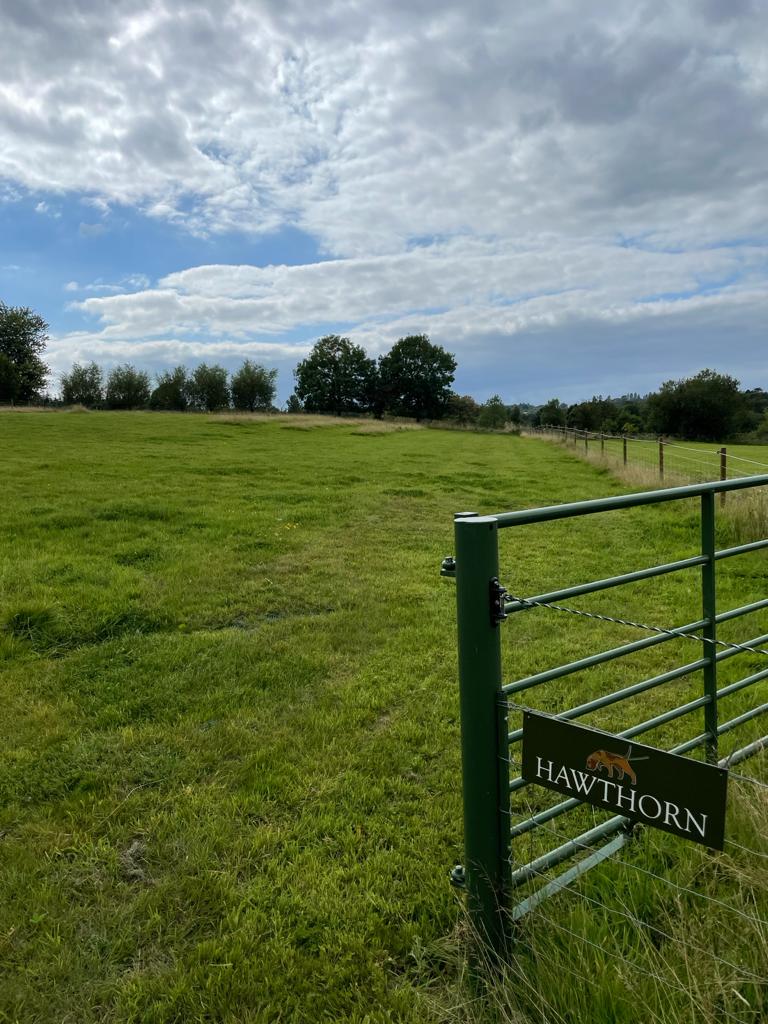 1968 69298072a450beb866defb5f8da1a4a0 1