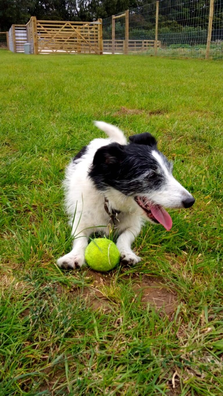 1970 02e597a4bec5775dd4cb0d0b1bc7762a 1 768x1365