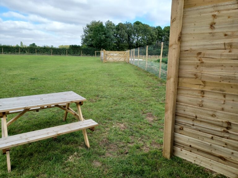 1970 3c0be802ae0d4ca37b63075e18e0cfb4 1 768x576