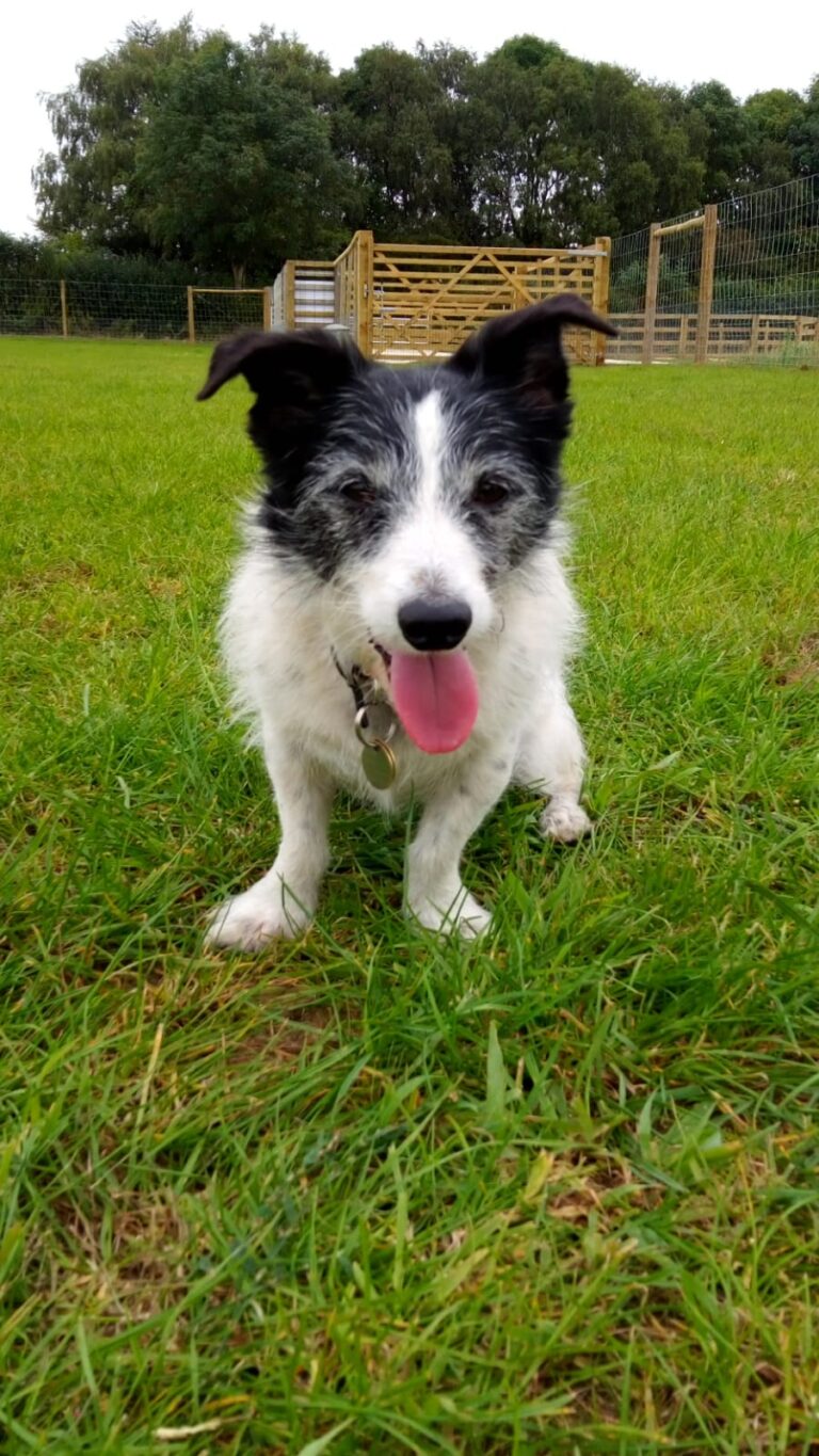 1970 3c408e0a4d348b6ba5e170081763dd8e 1 768x1365