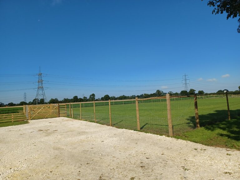 1970 4858ed23c6479b252180afe208f5feea 1 768x576