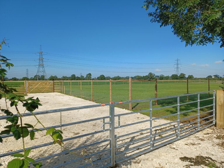 1970 57cbc5a3b79035d252f52709f6f630ad 1 768x576