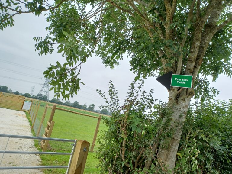 1970 62ca819e963e7397dcc9bf15d8616372 1 768x576