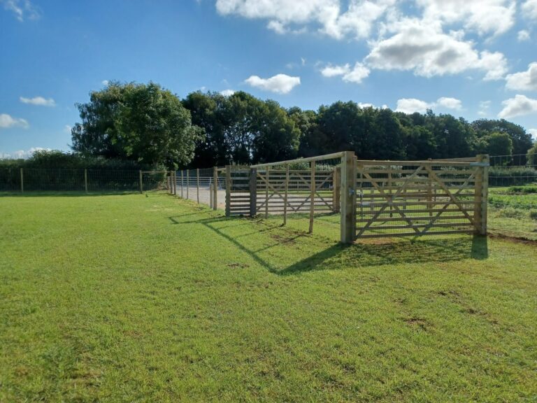 1970 895474fc5a45d4878e459d57ff69a2af 1 scaled 768x576