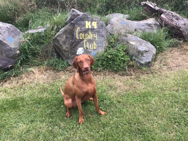 1971 5fdb680be218a0336370fbb4d9ceb445 1 scaled 768x576