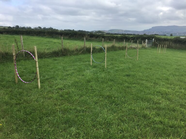 1971 6c7aeddb78cdc19831f71065a5f9b761 1 768x576