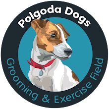 1972 085a63ff84b07a1abcf931fcfd9f9113 1