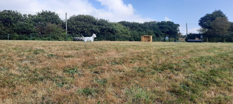 1972 0c709608847861fc75102c6276a9829e 1 768x345