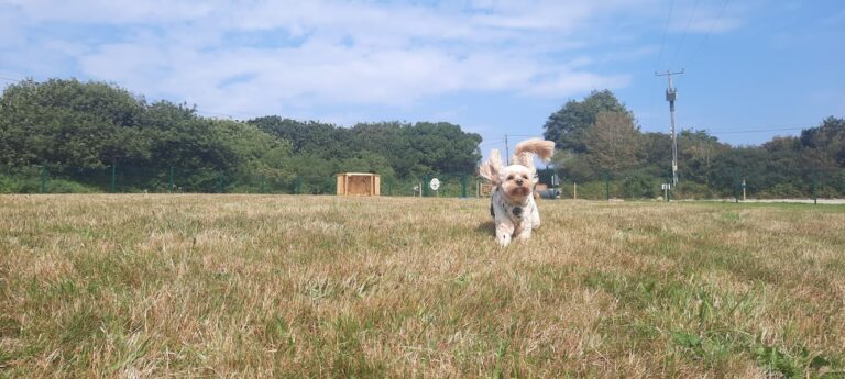 1972 2524f50c9096a11f441dad317f892f29 1 768x345