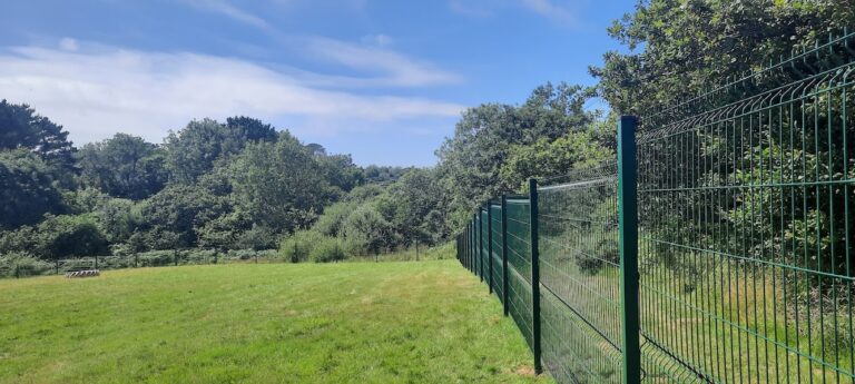 1972 42f3a5a6adce96fb7859e529cbc99163 1 768x345