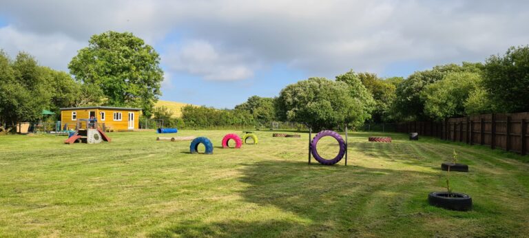 1973 64c44902c66ae939ce07151669dd315f 1 scaled 768x346