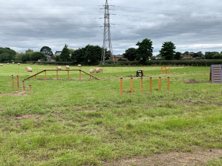 1974 925d6ecbebb0cebe4af8664d70122d3a 1 768x576