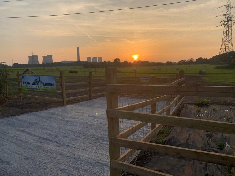 1974 e9c0a43e38c1b5c7f35fbae2b8b32e8e 1 768x576